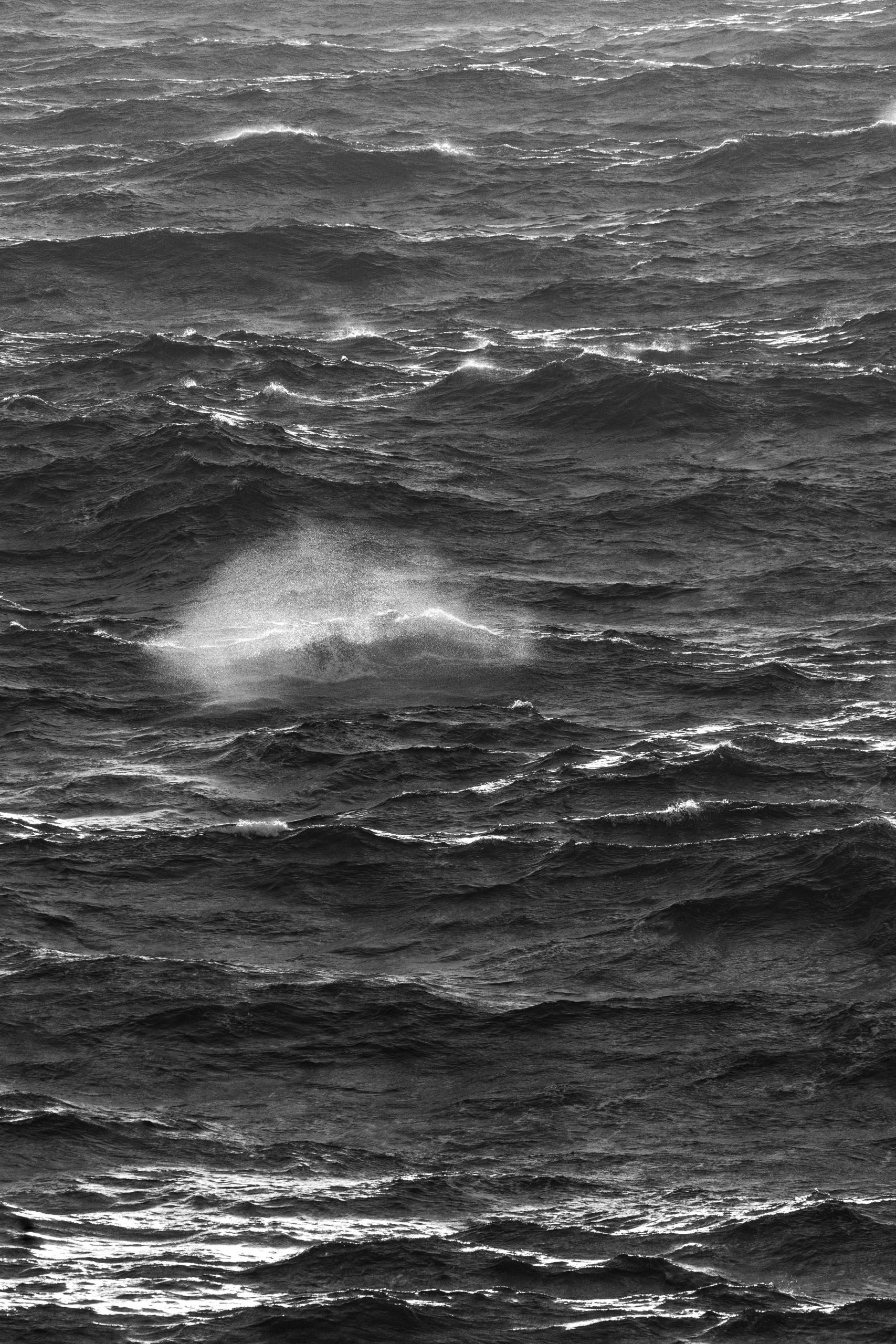 Storm at the sea