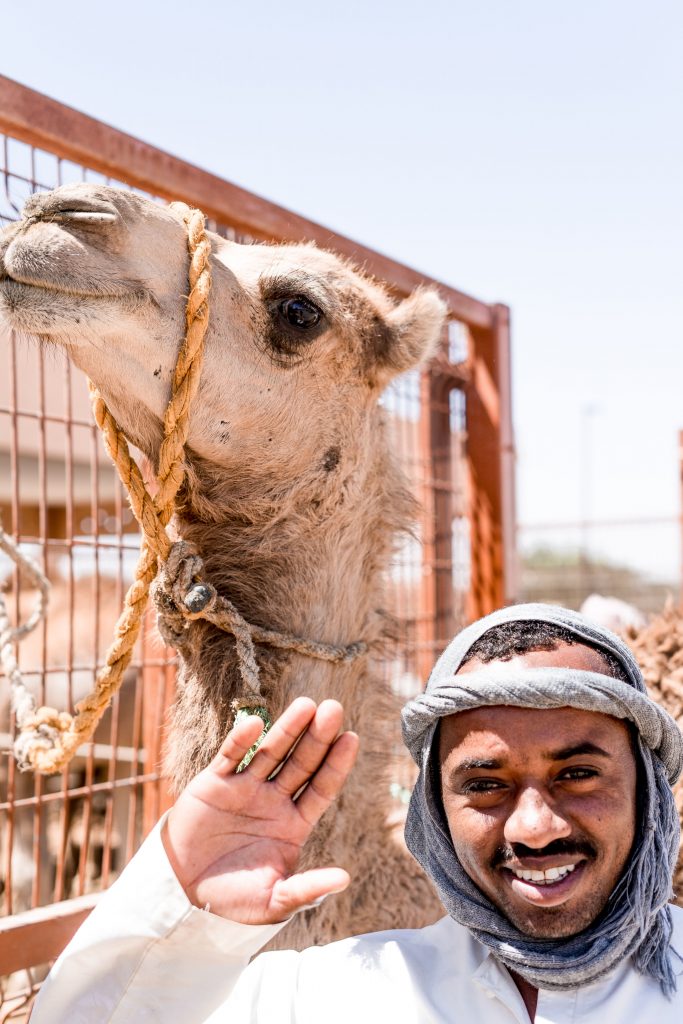 Senhor a cuidar de um camelo