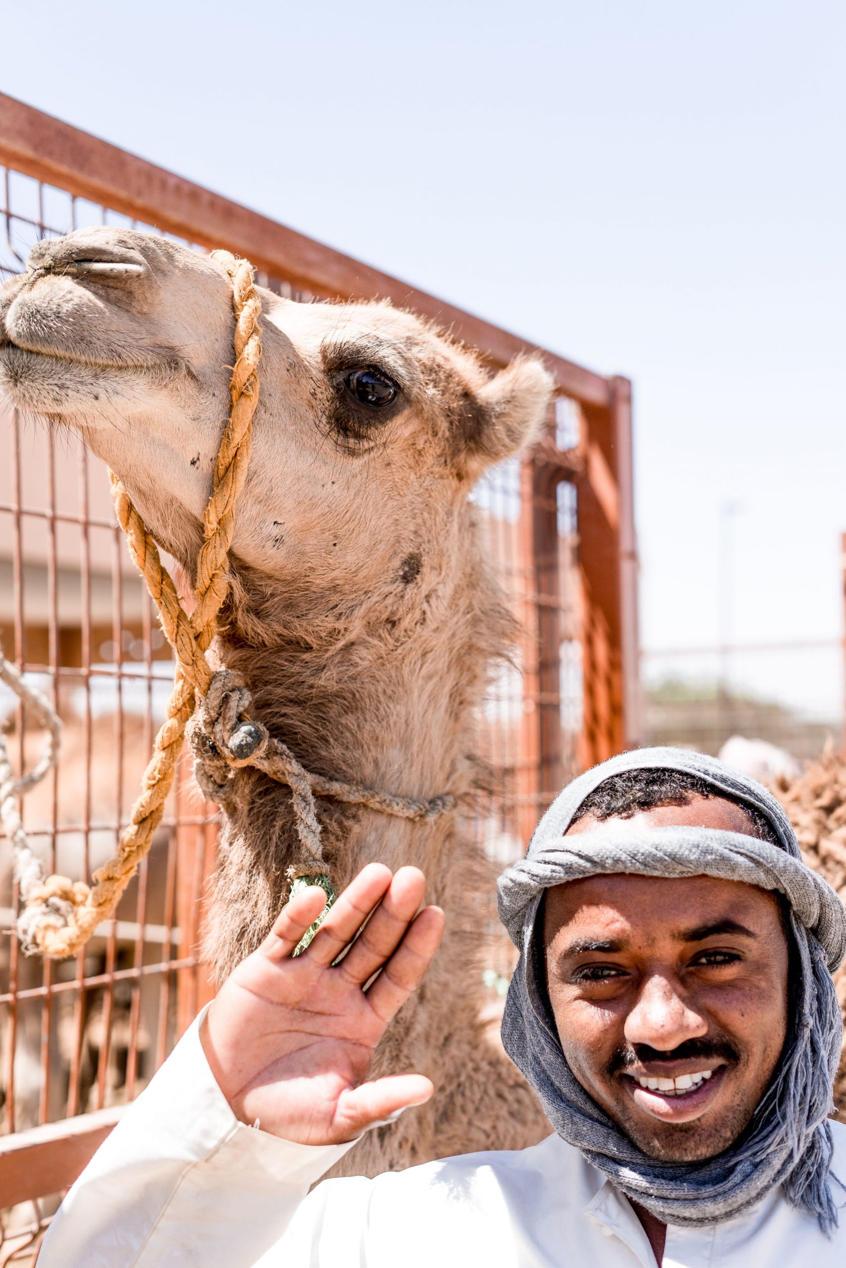 Winkender Mann mit Kamel